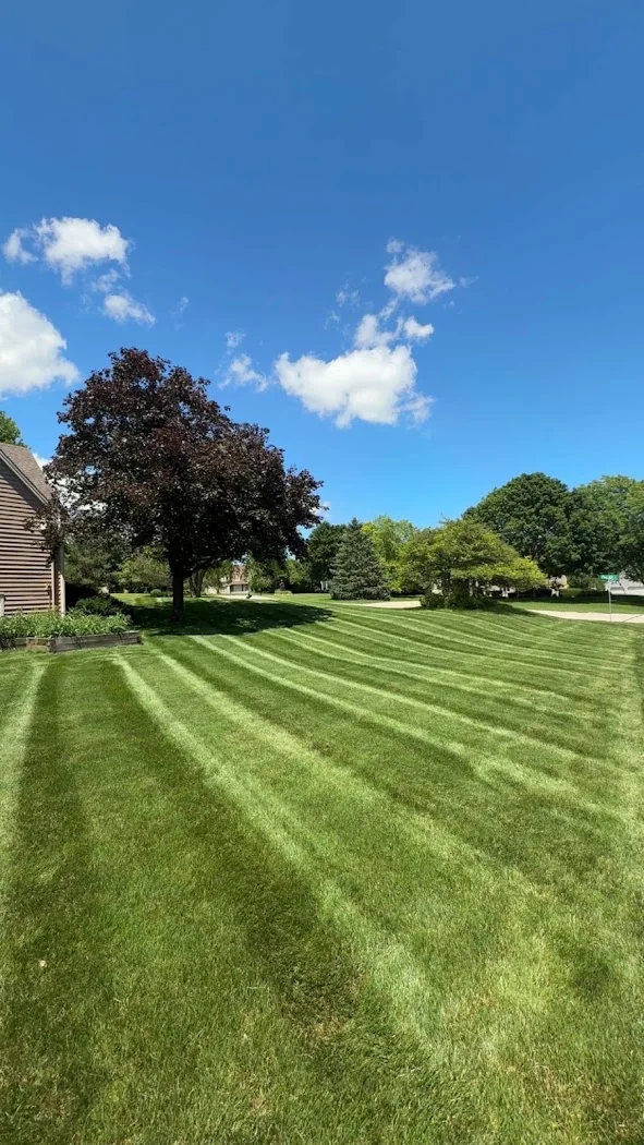Photo from Landscaping Eternal Spring's Google Business Profile